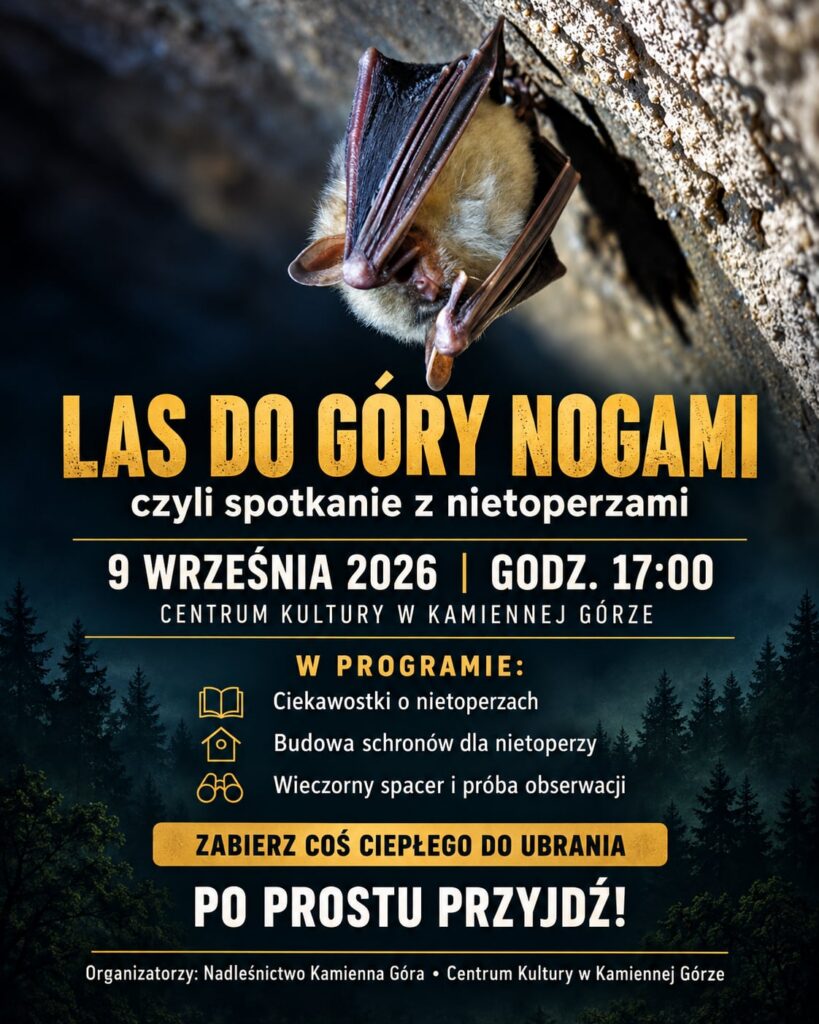 Las do góry nogami czyli spotkanie z nietoperzami.